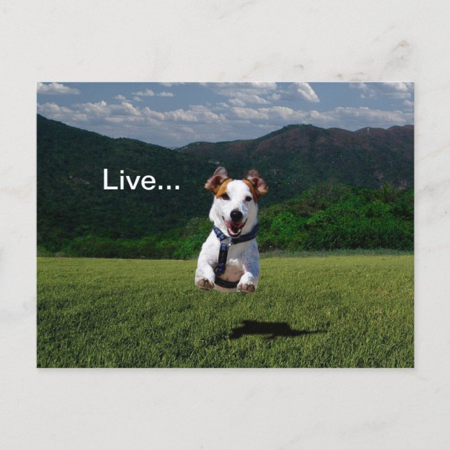 "Vive como alguien dejó la puerta abierta", postal (Anverso)