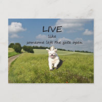 "Vive como alguien dejó la puerta abierta" postal
