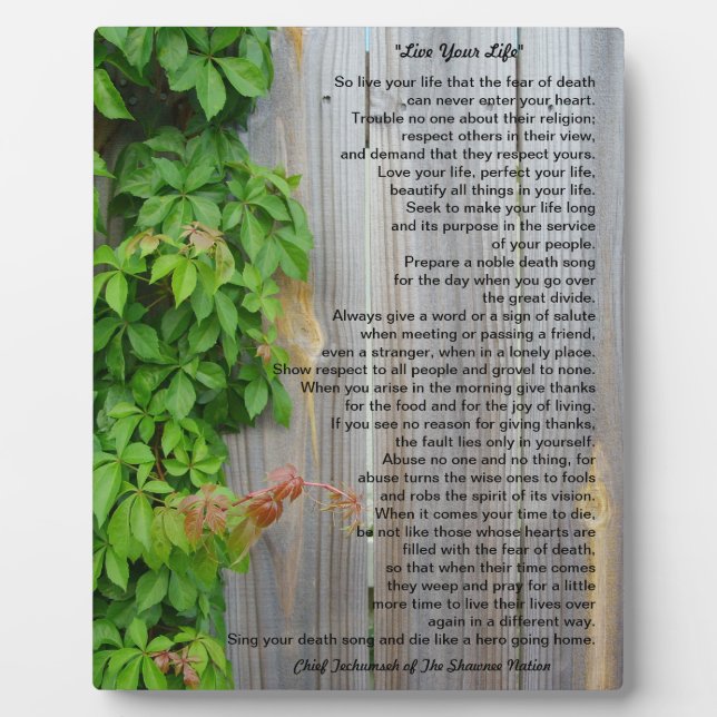 Vive tu vida, placa del jefe Tecumseh (Frente)