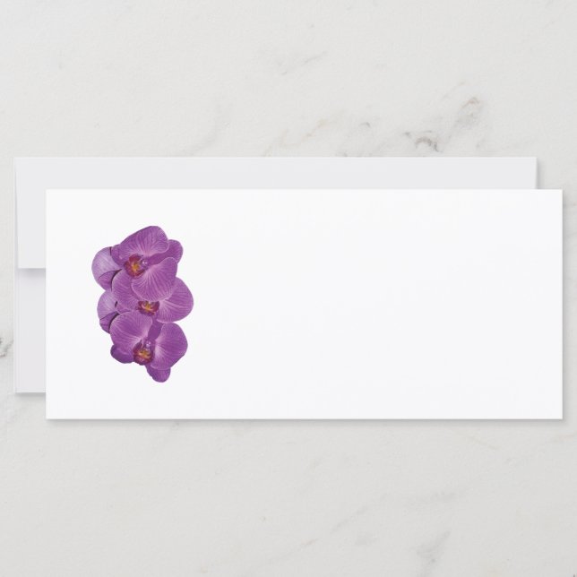 Vivid Purple Orchids (Anverso)