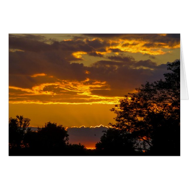 Vivid Sunset con pájaro volador (Anverso (Horizontal))