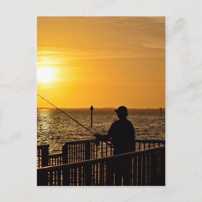 Viviendo el sueño en la postal de Florida (Anverso)