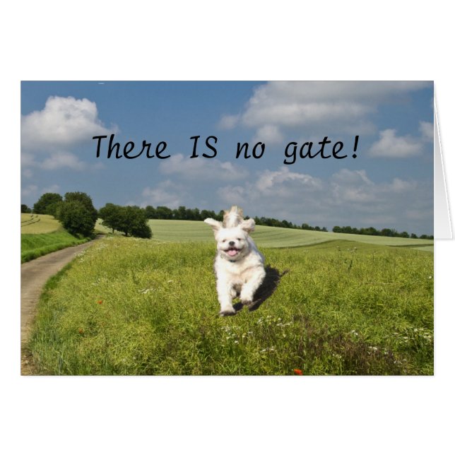 "Vivir como..." Tarjeta - Budista (Matrix) Versión (Anverso (Horizontal))