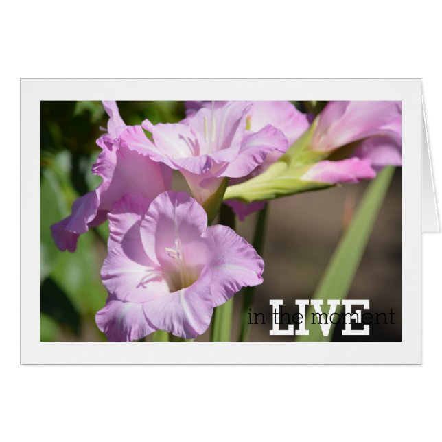 Vivir en el momento de Gladiolus (Anverso (Horizontal))