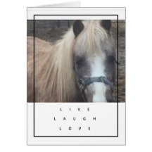 VIVO, RISA, POTRO DEL AMOR - TARJETA EN BLANCO