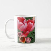 vivos tulipanes rosados foto - taza de café de té