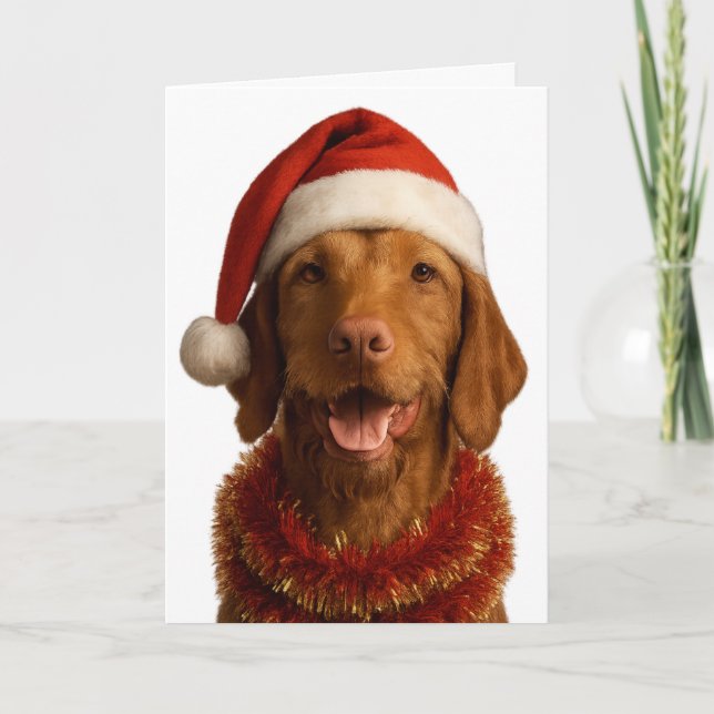 Vizsla de pelo duro con gorro de Santa tarjeta de  (Anverso)