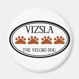 Vizsla el imán del perro del Velcro