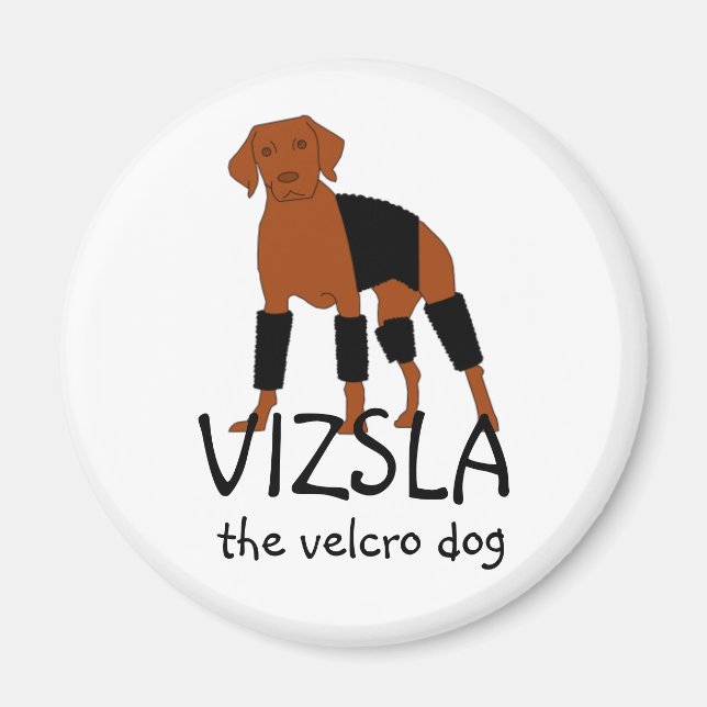 Vizsla El imán del velcro (Frente)