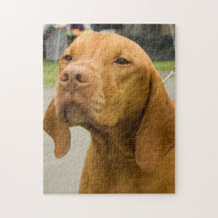 Vizsla Foto Rompecabezas