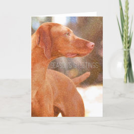 Vizsla Navidades Tarjetas de felicitación
