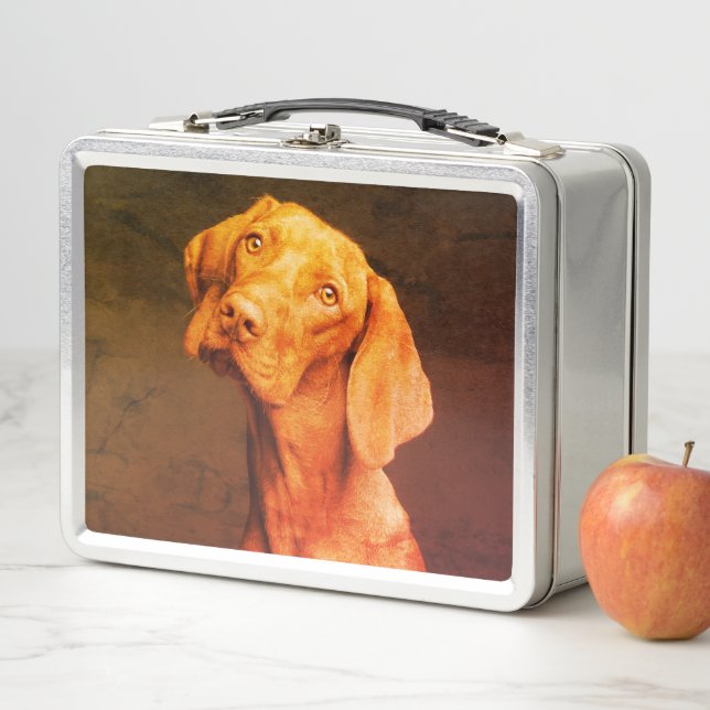 Vizsla Notebook (In situ)