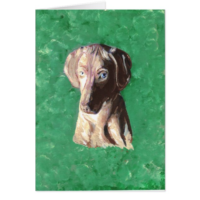 Vizsla, puntero húngaro (Frente)