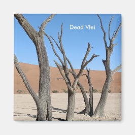 Vlei muerto, imán de Namibia