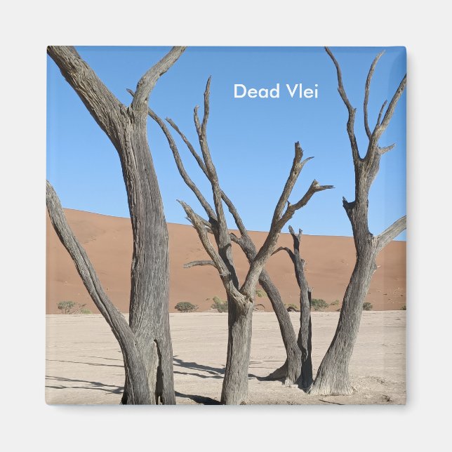 Vlei muerto, imán de Namibia (Frente)