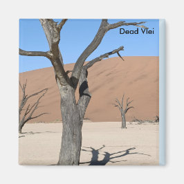 Vlei muerto, imán de Namibia