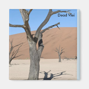 Vlei muerto, imán de Namibia
