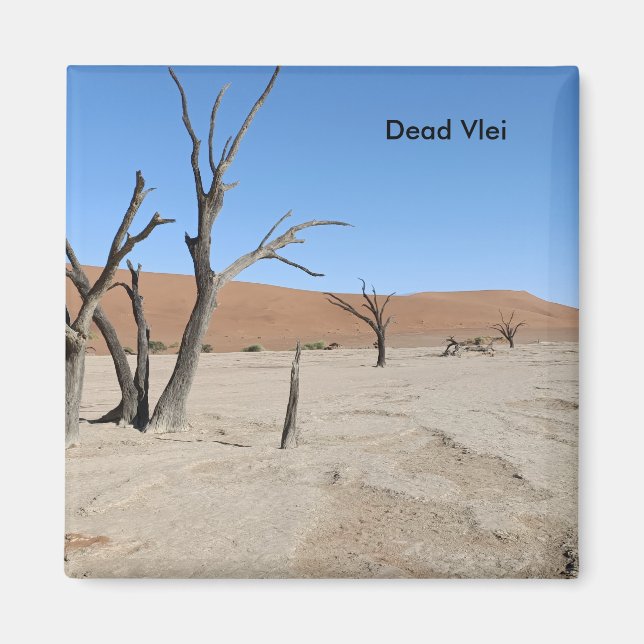 Vlei muerto, imán de Namibia (Frente)