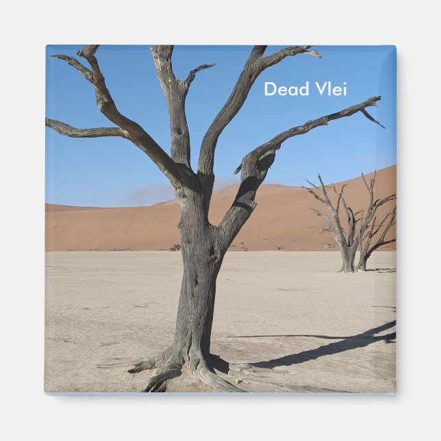 Vlei muerto, imán de Namibia (Frente)