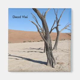 Vlei muerto, imán de Namibia