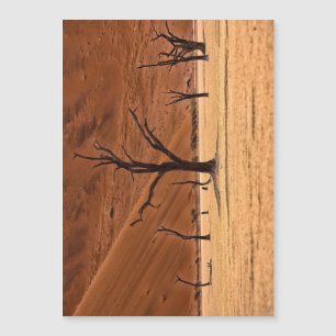 Vlei muerto, Namibia