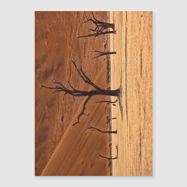 Vlei muerto, Namibia (Anverso)