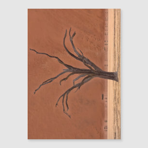 Vlei muerto, Namibia