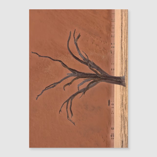 Vlei muerto, Namibia (Anverso)