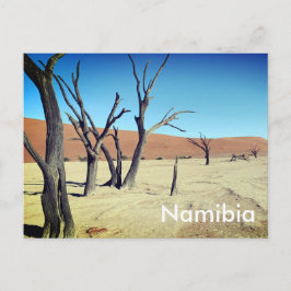 Vlei muerto, postal de Namibia