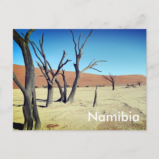 Vlei muerto, postal de Namibia (Anverso)