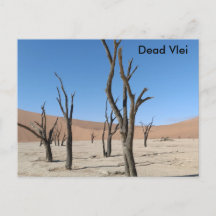Vlei muerto, postal de Namibia