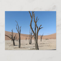 Vlei muerto, postal de Namibia