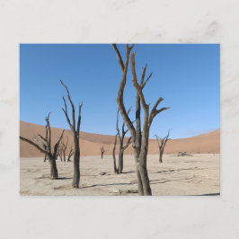 Vlei muerto, postal de Namibia