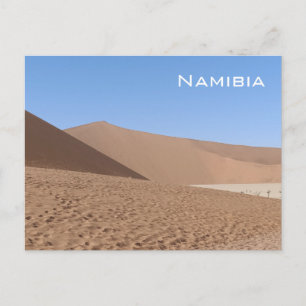 Vlei muerto, postal de Namibia