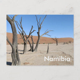 Vlei muerto, postal de Namibia
