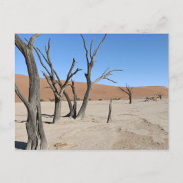 Vlei muerto, postal de Namibia