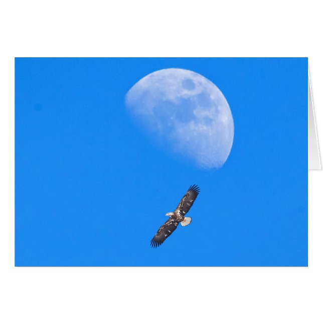 Volando más allá de la luna (Anverso (Horizontal))