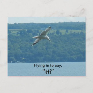 VOLANDO PARA DECIR "HI" postal