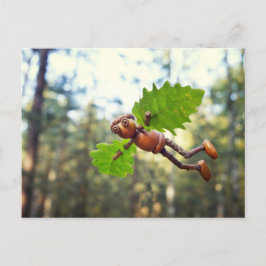 Volante Acorn Elf Ikaros - postal