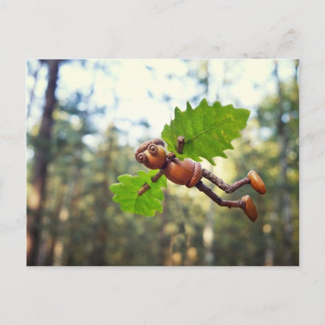Volante Acorn Elf Ikaros - postal (Anverso)