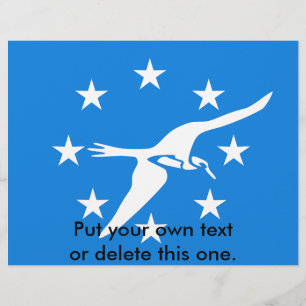 Volante con bandera de Corpus Christi, Estados Uni