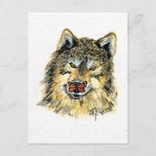 Volante con postal de mariposa