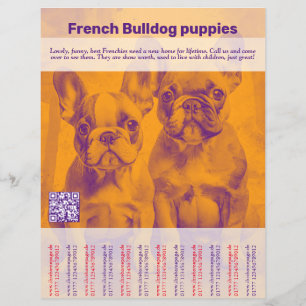 Volante de Cachorro Bulldog Francés