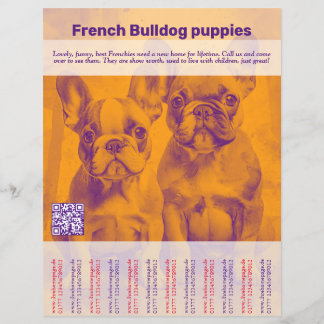 Volante de Cachorro Bulldog Francés
