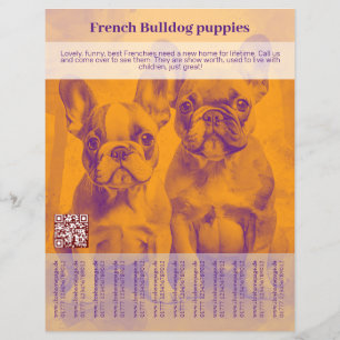 Volante de cachorro de Bulldog Francés