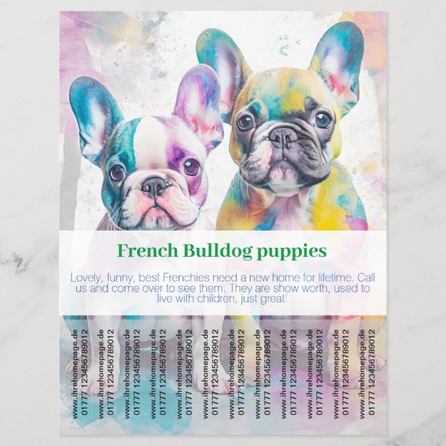 Volante de cachorro de Bulldog Francés (Frente)