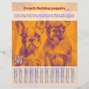 Volante de Cachorros de Bulldog Francés