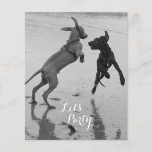 Volante de Cumpleaños para Perros