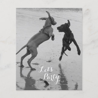 Volante de cumpleaños para perros
