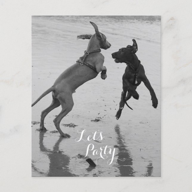 Volante de Cumpleaños para Perros (Frente)